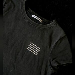 Alexander Wang T